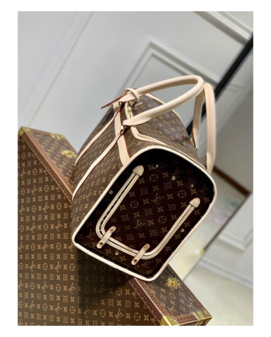 LV other bag