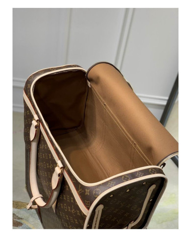 LV other bag