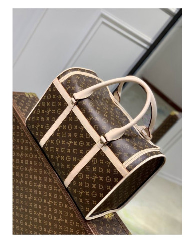 LV other bag