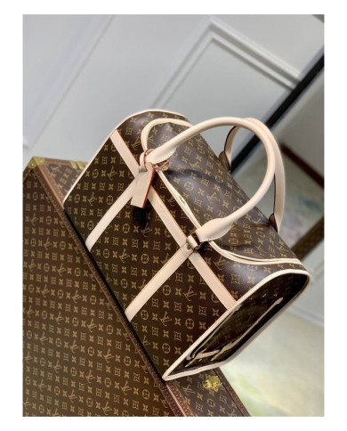 LV other bag