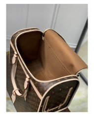 LV other bag