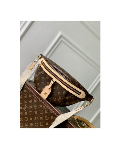 LV other bag
