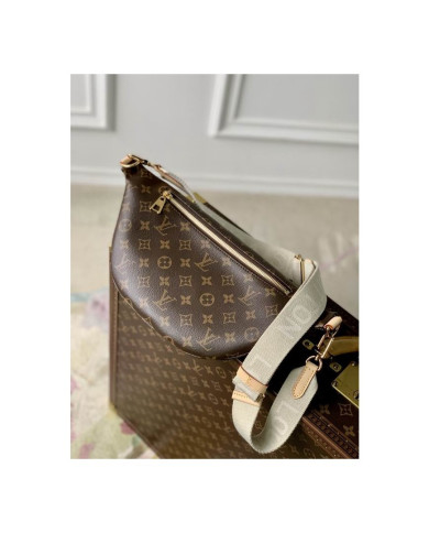 LV other bag