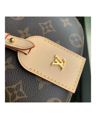 LV other bag