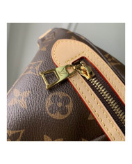 LV other bag