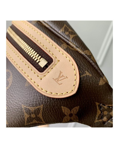 LV other bag