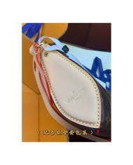 LV YG other bag