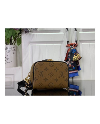 LV YG other bag