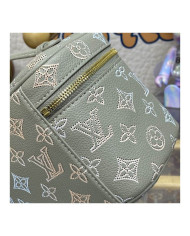 LV  Nice other bag