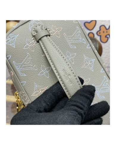 LV  Nice other bag