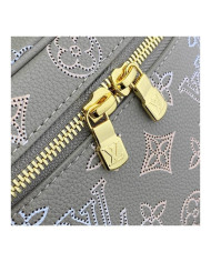 LV  Nice other bag