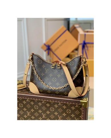LV  Odeon other bag