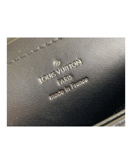 LV  Pico other bag