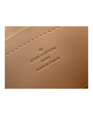LV  Pico other bag