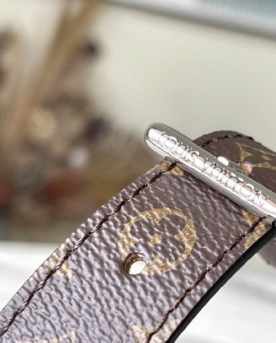 LV  Pillow Maxi other bag