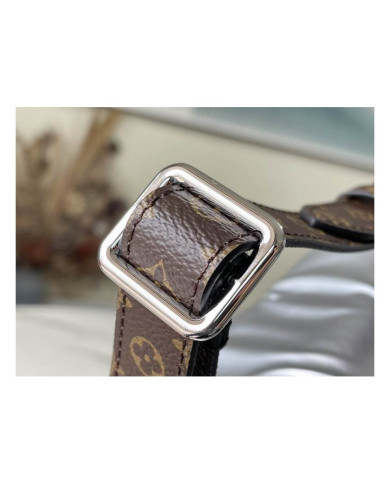LV  Pillow Maxi other bag