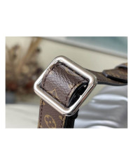 LV  Pillow Maxi other bag