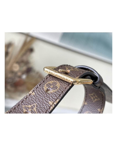 LV  Pillow Maxi other bag