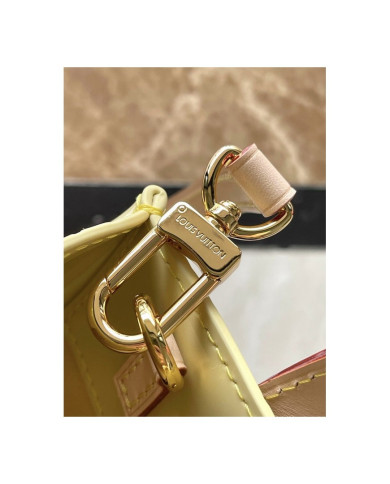 LV  Reade other bag