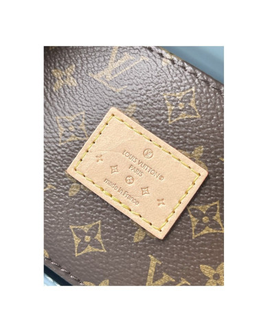 LV  Reade other bag