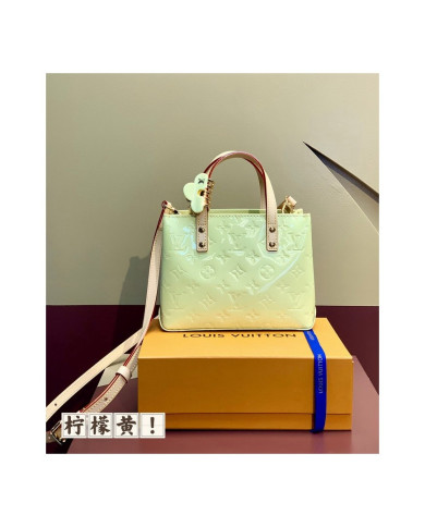 LV  Reade PM other bag