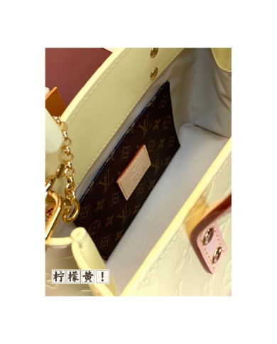 LV  Reade PM other bag