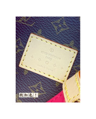 LV  Reade PM other bag