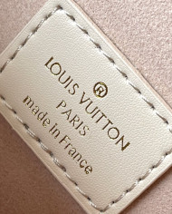 LV  Saumur other bag