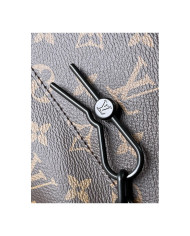 LV  Steamer other bag