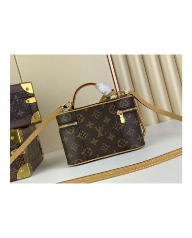 LV  Vanity  other bag