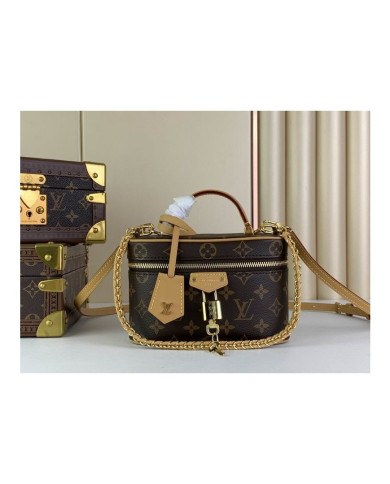 LV  Vanity  other bag