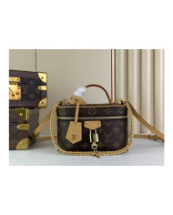 LV  Vanity  other bag