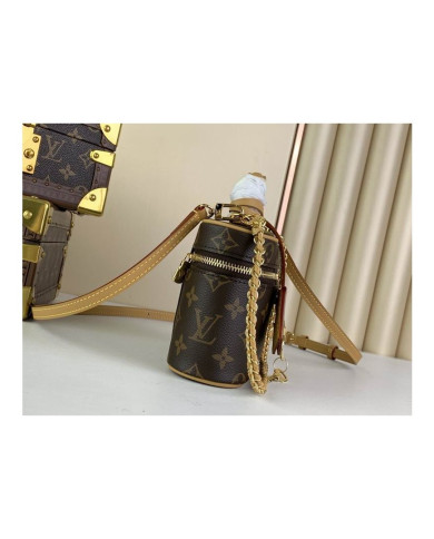 LV  Vanity  other bag