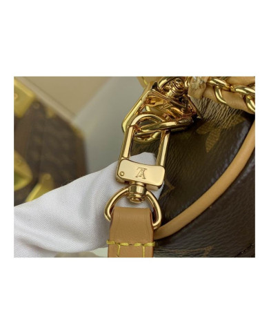 LV  Vanity  other bag