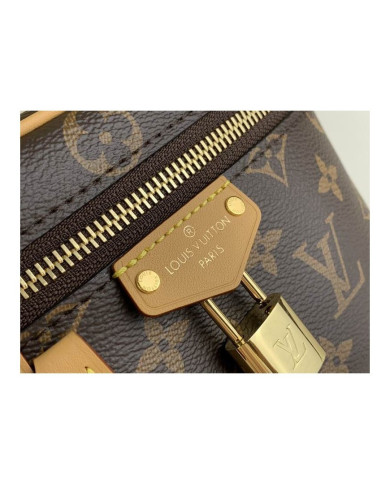 LV  Vanity  other bag