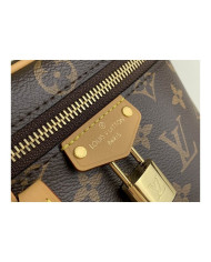LV  Vanity  other bag