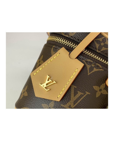 LV  Vanity  other bag