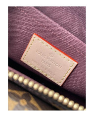 LV  Vibe other bag