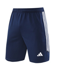 Adidas Short sleeved suit AD02 Colorful Blue Shorts Set