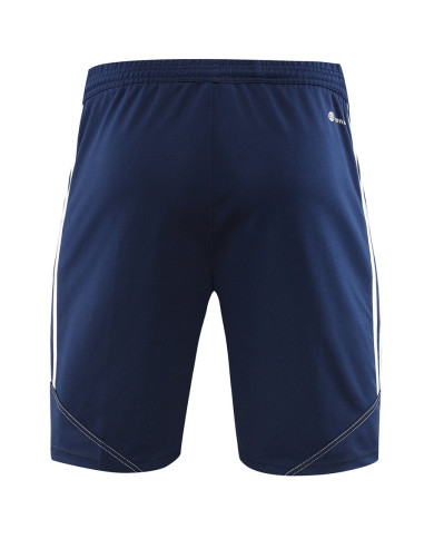 Adidas Short sleeved suit AD02 Colorful Blue Shorts Set