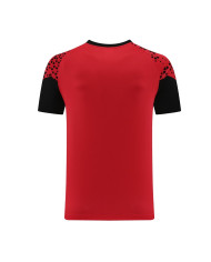 PUMA Short sleeved suit PD02 Red Shorts Set