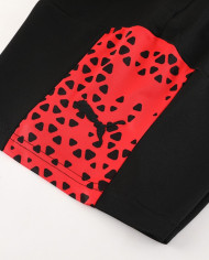 PUMA Short sleeved suit PD02 Red Shorts Set