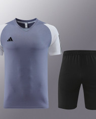 Adidas Short sleeved suit AD03 Grey Shorts Set