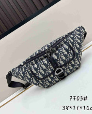 Dior Fashion Waist Bag