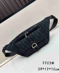 Dior Fashion Waist Bag