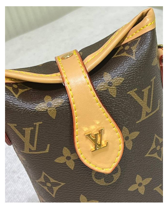 Louis Vuitton Monogram Bucket Bag