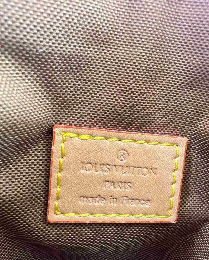 Louis Vuitton Monogram Bucket Bag