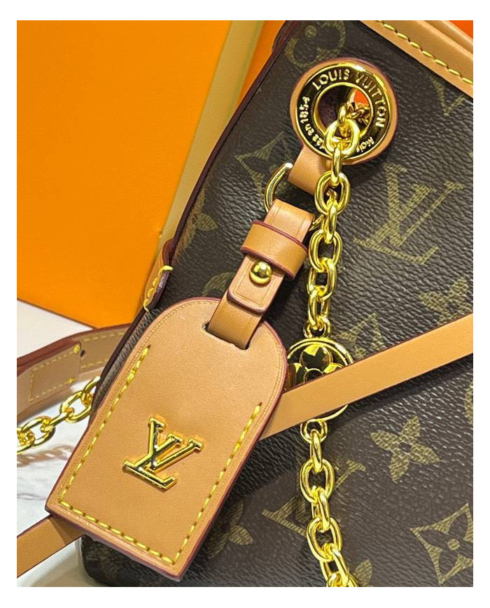 Louis Vuitton Monogram Chain Shoulder Bag