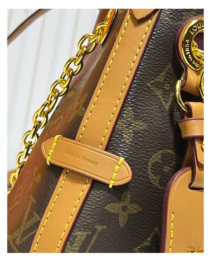 Louis Vuitton Monogram Chain Shoulder Bag