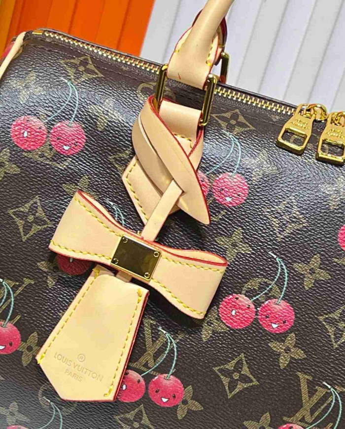 Louis Vuitton Cherry Boston Handbag